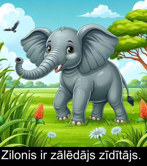 zīdītājs: Zilonis ir zālēdājs zīdītājs.