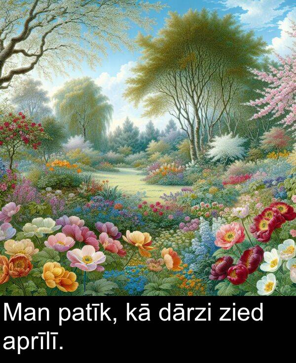 zied: Man patīk, kā dārzi zied aprīlī.