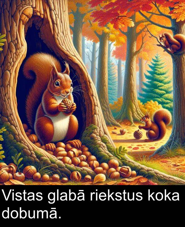 glabā: Vistas glabā riekstus koka dobumā.