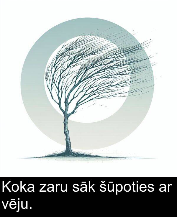 sāk: Koka zaru sāk šūpoties ar vēju.