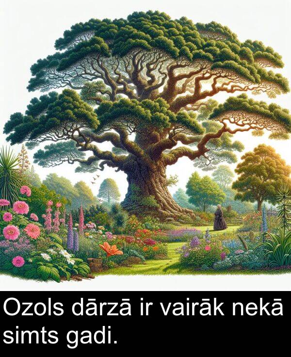 vairāk: Ozols dārzā ir vairāk nekā simts gadi.