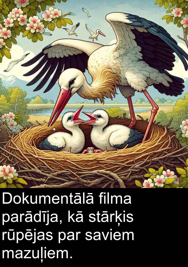 filma: Dokumentālā filma parādīja, kā stārķis rūpējas par saviem mazuļiem.