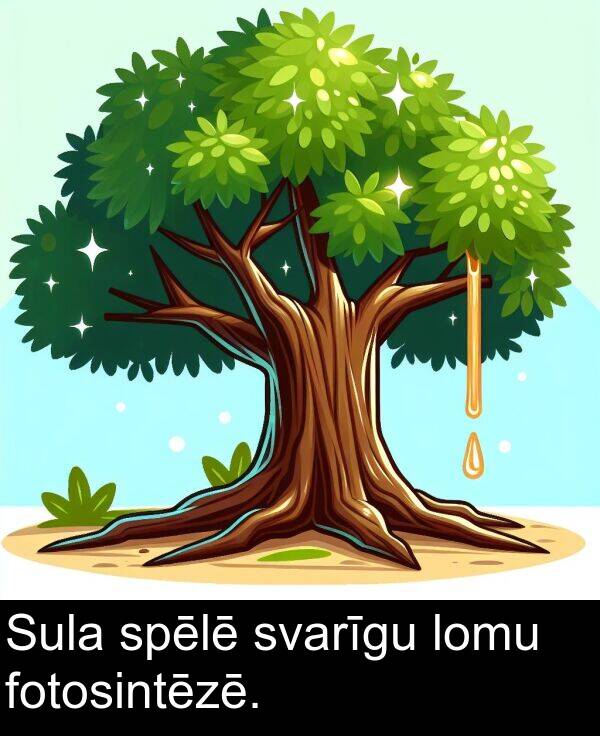 fotosintēzē: Sula spēlē svarīgu lomu fotosintēzē.