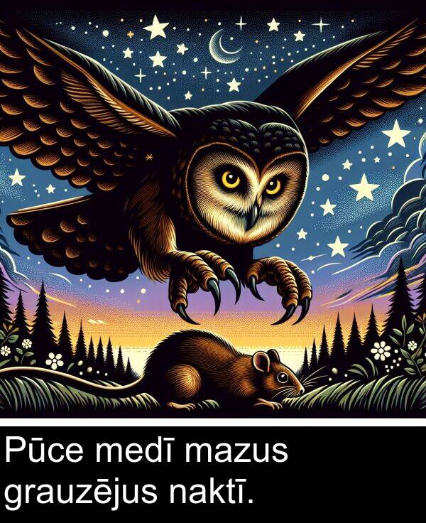 medī: Pūce medī mazus grauzējus naktī.