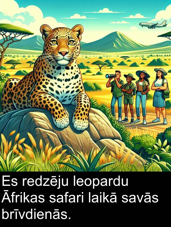 redzēju: Es redzēju leopardu Āfrikas safari laikā savās brīvdienās.