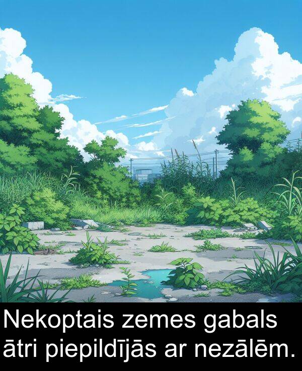 gabals: Nekoptais zemes gabals ātri piepildījās ar nezālēm.