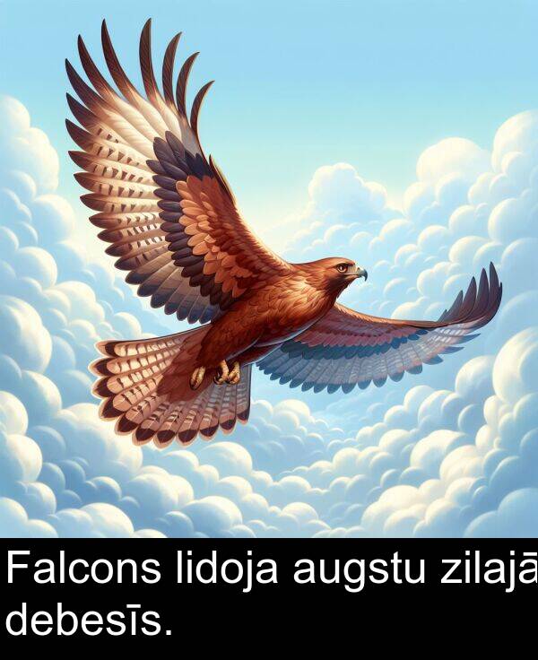 zilajā: Falcons lidoja augstu zilajā debesīs.