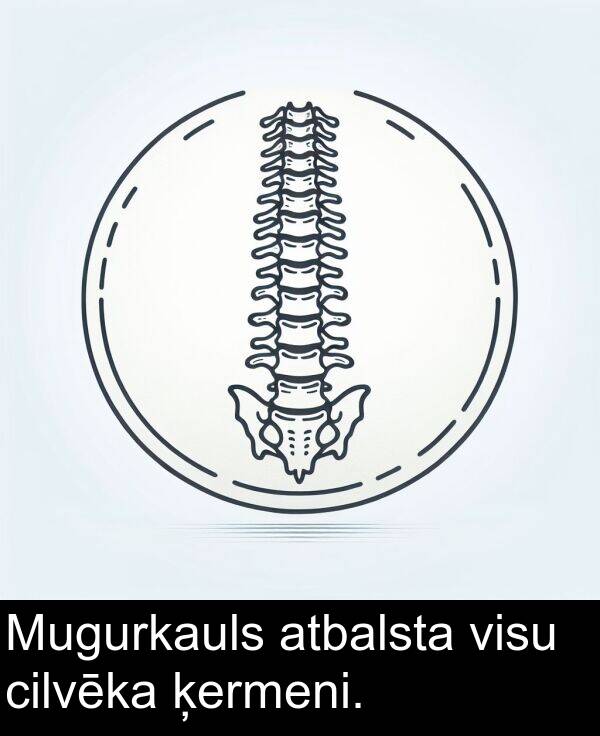 ķermeni: Mugurkauls atbalsta visu cilvēka ķermeni.