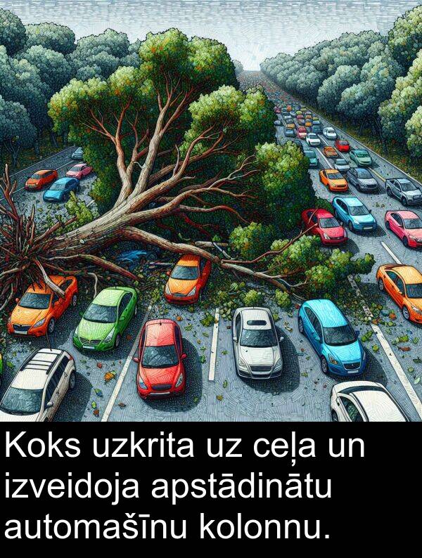 kolonnu: Koks uzkrita uz ceļa un izveidoja apstādinātu automašīnu kolonnu.