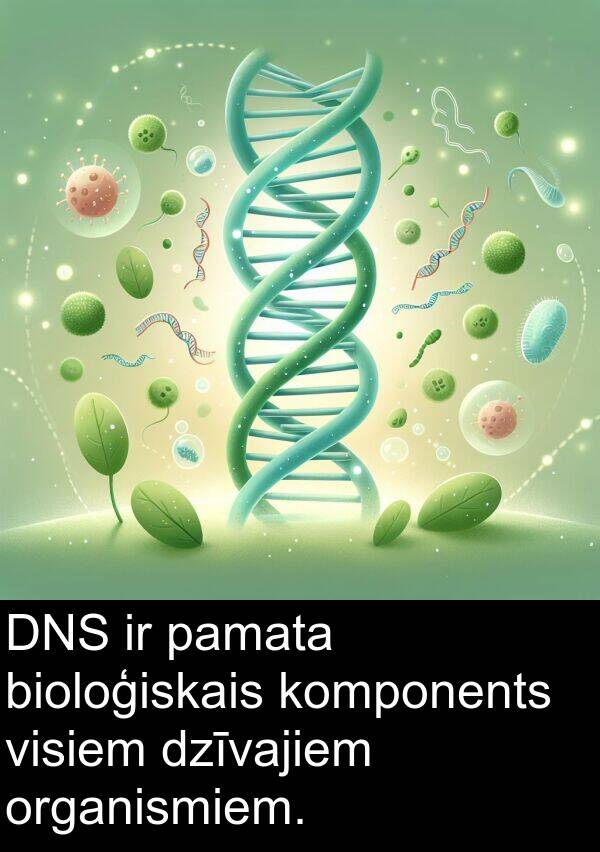 bioloģiskais: DNS ir pamata bioloģiskais komponents visiem dzīvajiem organismiem.