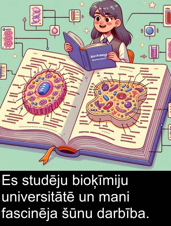 universitātē: Es studēju bioķīmiju universitātē un mani fascinēja šūnu darbība.