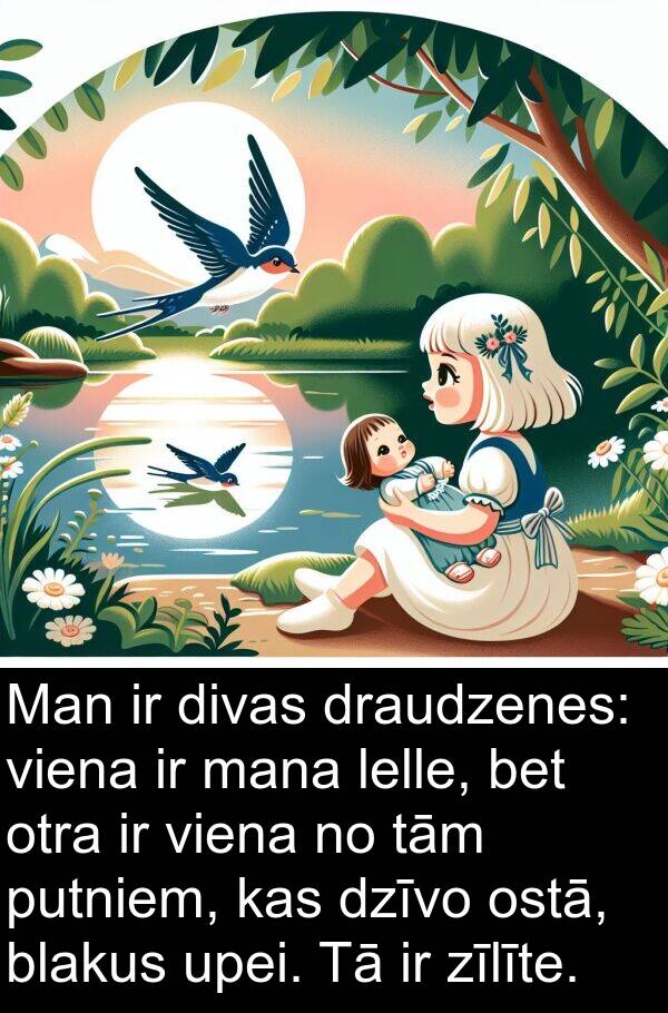 ostā: Man ir divas draudzenes: viena ir mana lelle, bet otra ir viena no tām putniem, kas dzīvo ostā, blakus upei. Tā ir zīlīte.