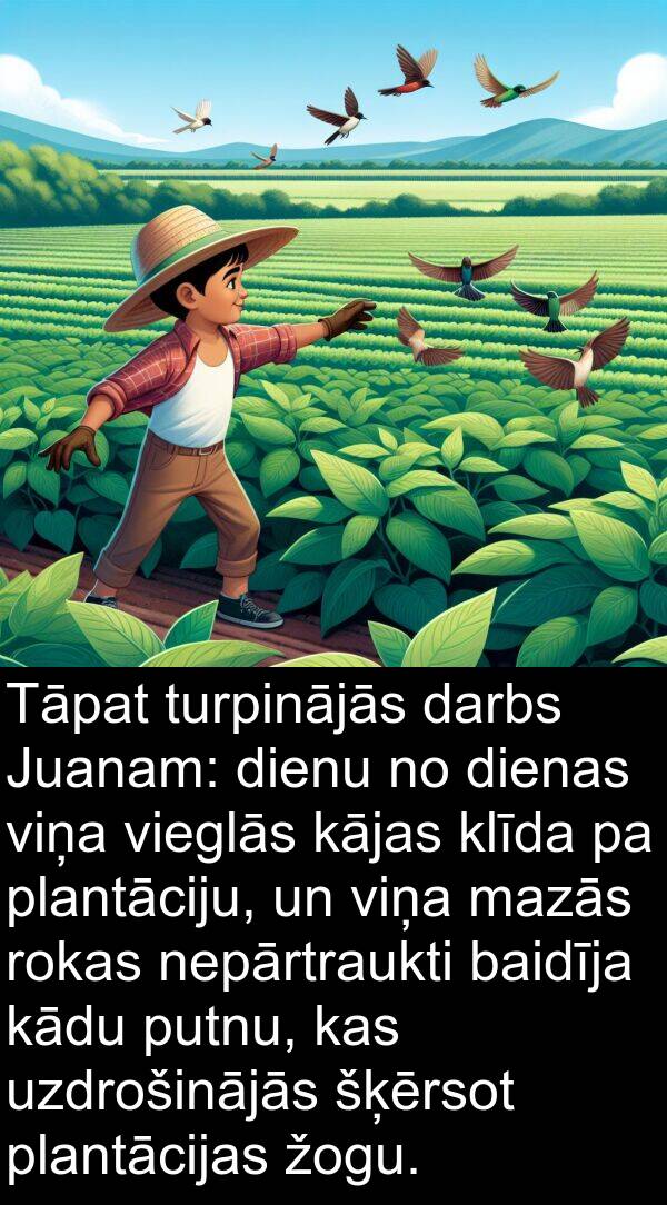 žogu: Tāpat turpinājās darbs Juanam: dienu no dienas viņa vieglās kājas klīda pa plantāciju, un viņa mazās rokas nepārtraukti baidīja kādu putnu, kas uzdrošinājās šķērsot plantācijas žogu.