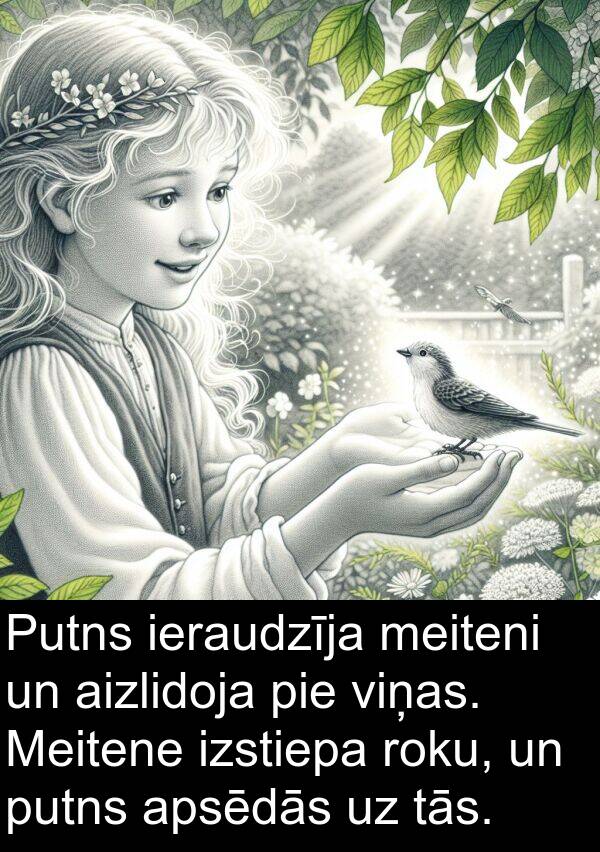 putns: Putns ieraudzīja meiteni un aizlidoja pie viņas. Meitene izstiepa roku, un putns apsēdās uz tās.