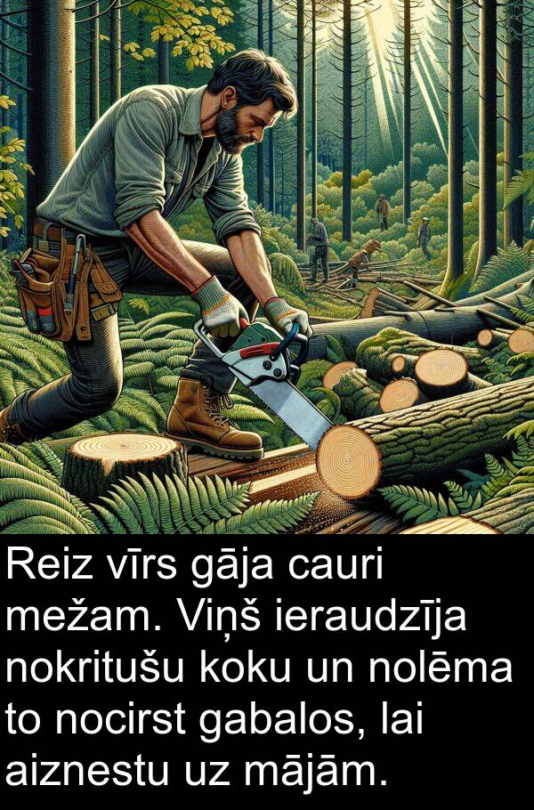 mežam: Reiz vīrs gāja cauri mežam. Viņš ieraudzīja nokritušu koku un nolēma to nocirst gabalos, lai aiznestu uz mājām.