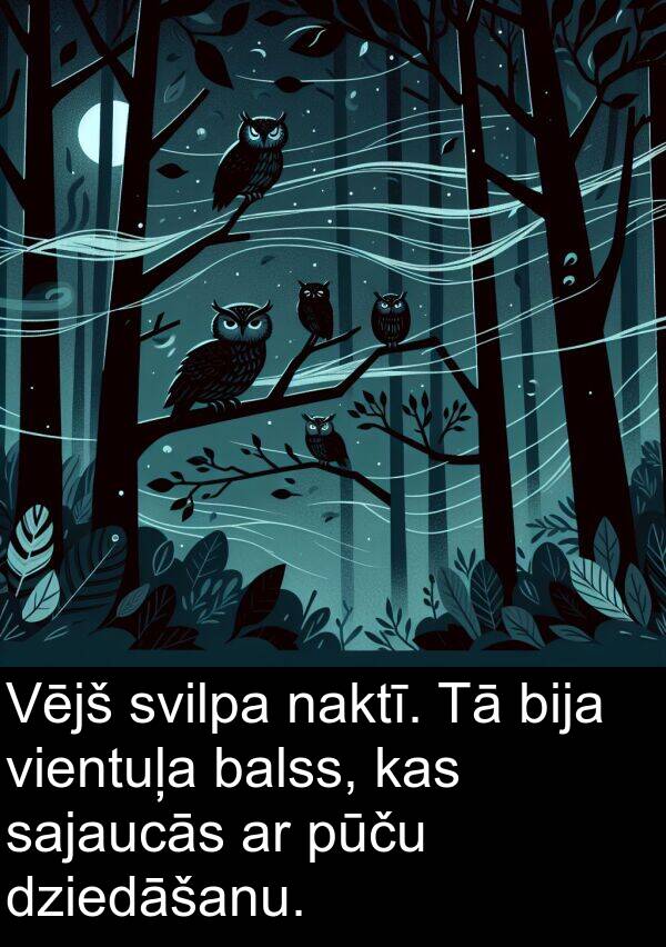 pūču: Vējš svilpa naktī. Tā bija vientuļa balss, kas sajaucās ar pūču dziedāšanu.