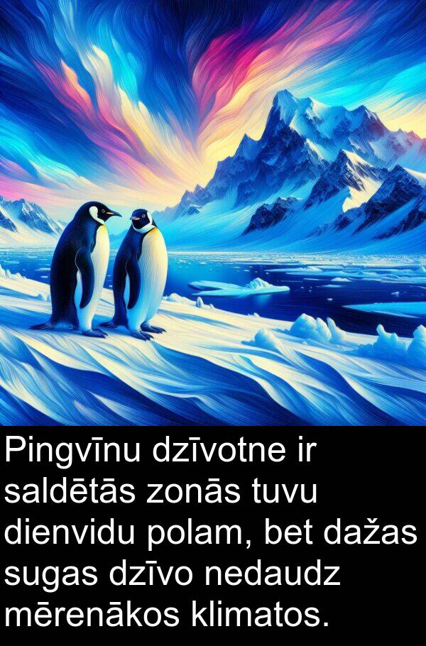 nedaudz: Pingvīnu dzīvotne ir saldētās zonās tuvu dienvidu polam, bet dažas sugas dzīvo nedaudz mērenākos klimatos.