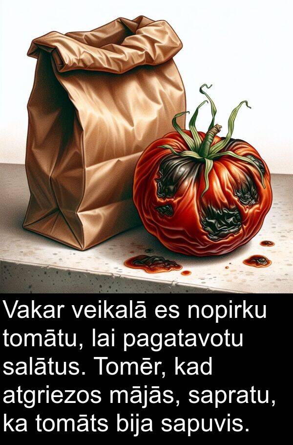 pagatavotu: Vakar veikalā es nopirku tomātu, lai pagatavotu salātus. Tomēr, kad atgriezos mājās, sapratu, ka tomāts bija sapuvis.