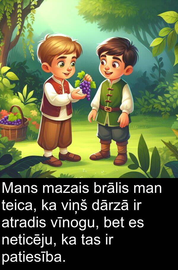 dārzā: Mans mazais brālis man teica, ka viņš dārzā ir atradis vīnogu, bet es neticēju, ka tas ir patiesība.