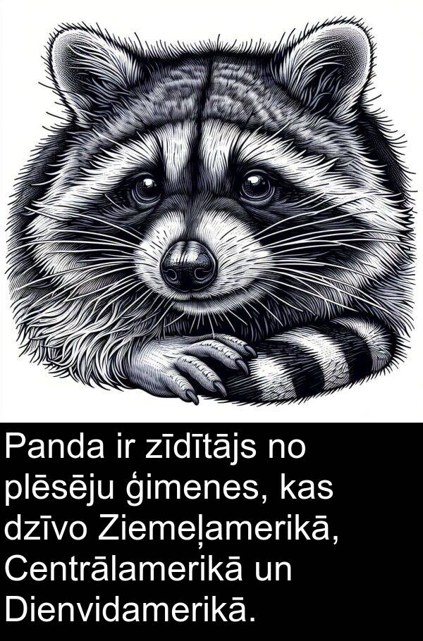 plēsēju: Panda ir zīdītājs no plēsēju ģimenes, kas dzīvo Ziemeļamerikā, Centrālamerikā un Dienvidamerikā.