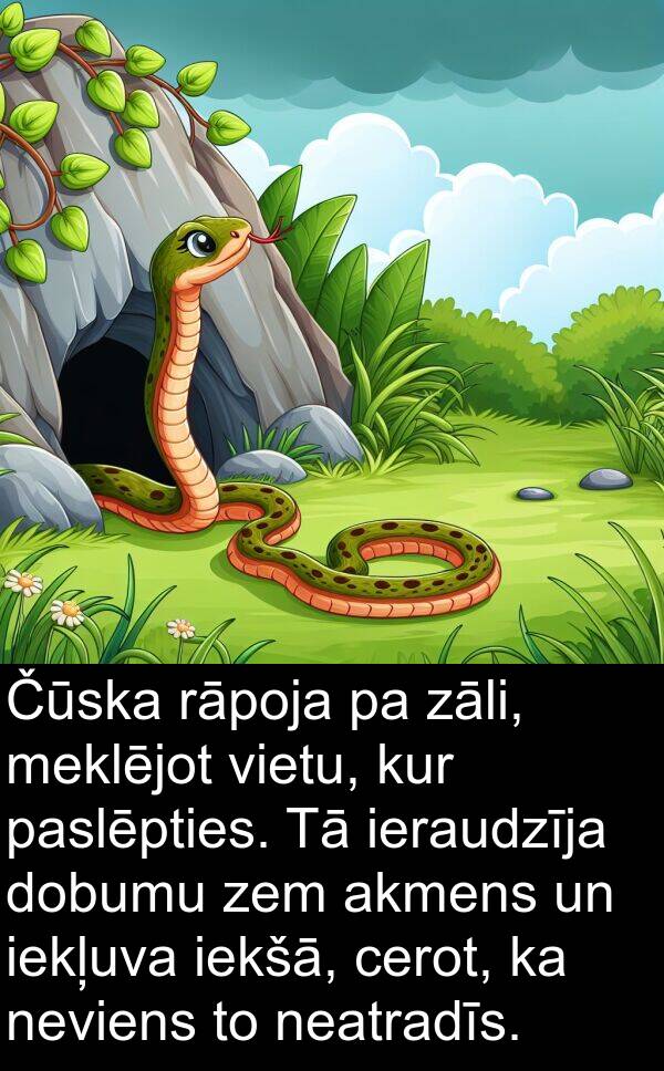 neatradīs: Čūska rāpoja pa zāli, meklējot vietu, kur paslēpties. Tā ieraudzīja dobumu zem akmens un iekļuva iekšā, cerot, ka neviens to neatradīs.