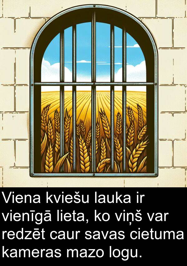 kviešu: Viena kviešu lauka ir vienīgā lieta, ko viņš var redzēt caur savas cietuma kameras mazo logu.