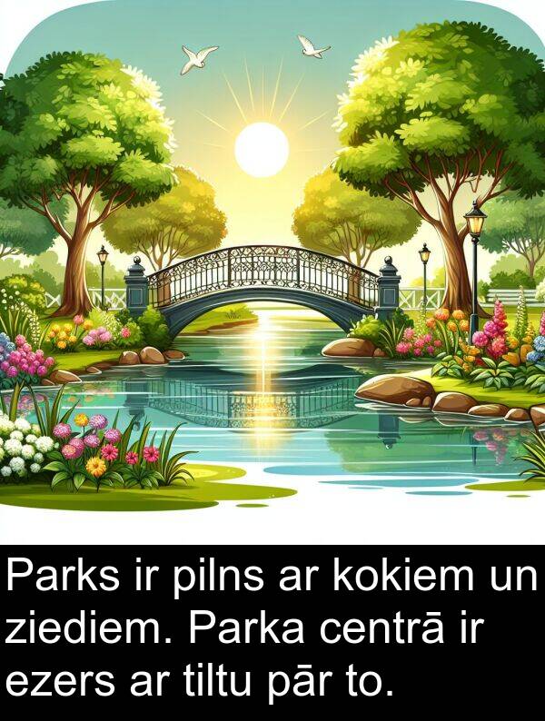 ezers: Parks ir pilns ar kokiem un ziediem. Parka centrā ir ezers ar tiltu pār to.