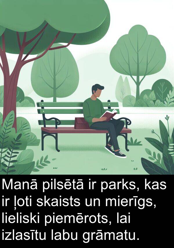 izlasītu: Manā pilsētā ir parks, kas ir ļoti skaists un mierīgs, lieliski piemērots, lai izlasītu labu grāmatu.