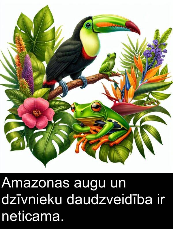 daudzveidība: Amazonas augu un dzīvnieku daudzveidība ir neticama.