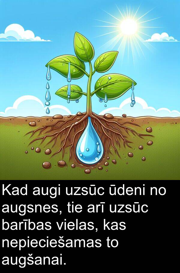 barības: Kad augi uzsūc ūdeni no augsnes, tie arī uzsūc barības vielas, kas nepieciešamas to augšanai.