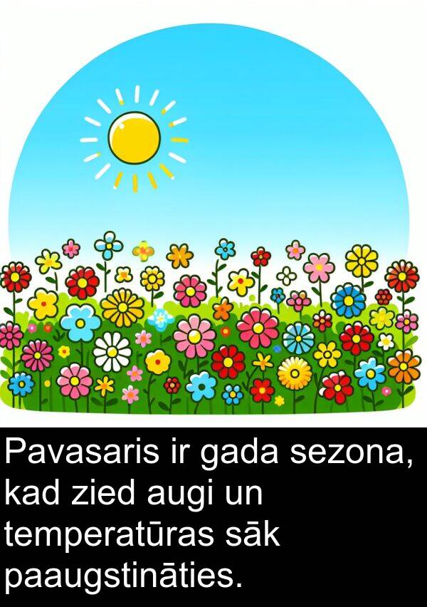 gada: Pavasaris ir gada sezona, kad zied augi un temperatūras sāk paaugstināties.