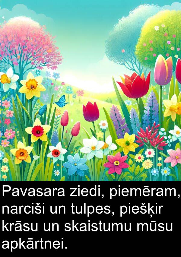 ziedi: Pavasara ziedi, piemēram, narciši un tulpes, piešķir krāsu un skaistumu mūsu apkārtnei.