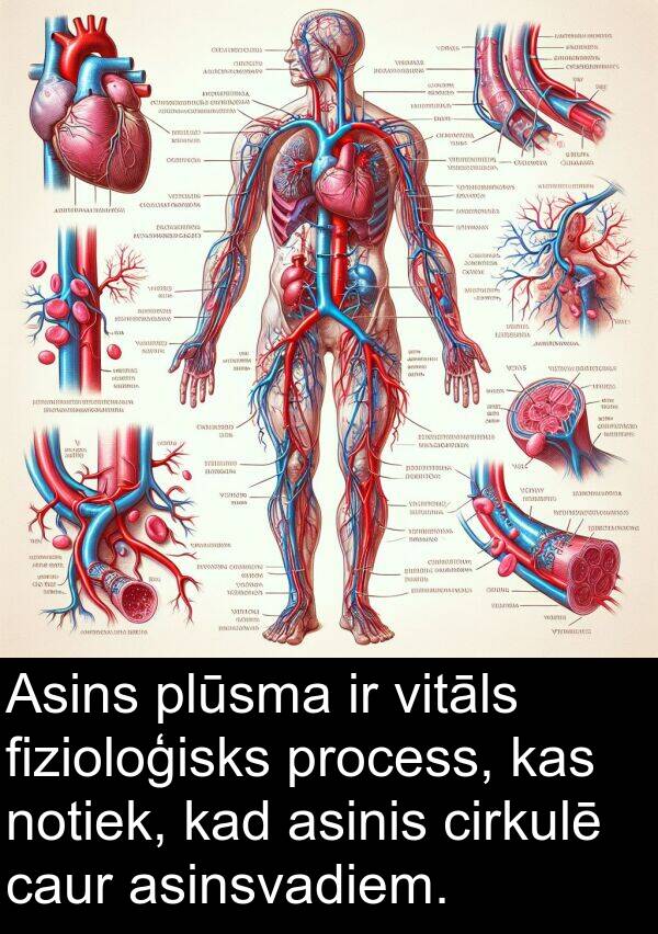 fizioloģisks: Asins plūsma ir vitāls fizioloģisks process, kas notiek, kad asinis cirkulē caur asinsvadiem.