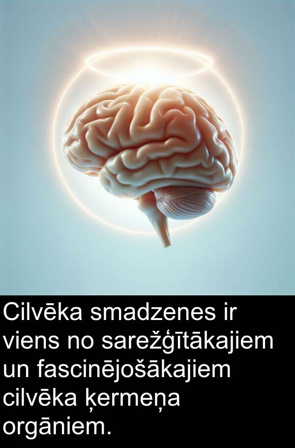 ķermeņa: Cilvēka smadzenes ir viens no sarežģītākajiem un fascinējošākajiem cilvēka ķermeņa orgāniem.