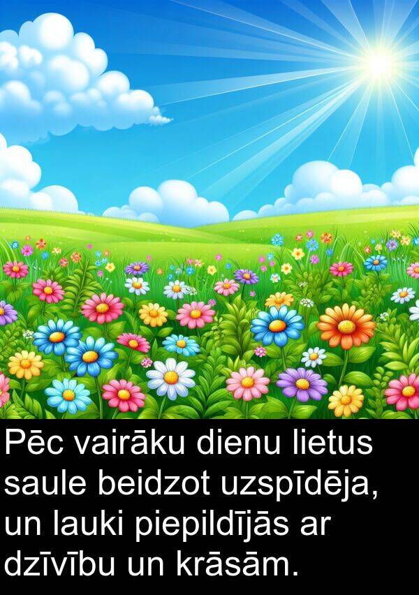 krāsām: Pēc vairāku dienu lietus saule beidzot uzspīdēja, un lauki piepildījās ar dzīvību un krāsām.