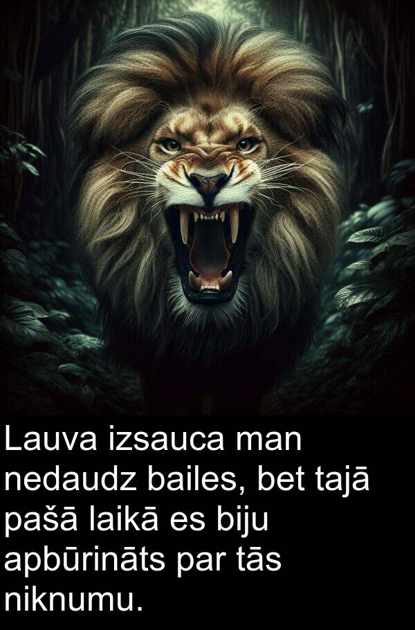 nedaudz: Lauva izsauca man nedaudz bailes, bet tajā pašā laikā es biju apbūrināts par tās niknumu.