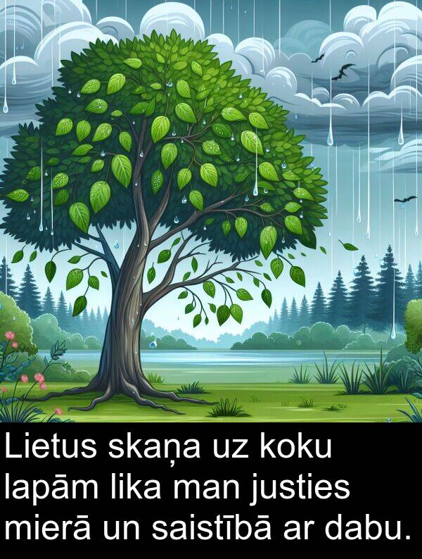 saistībā: Lietus skaņa uz koku lapām lika man justies mierā un saistībā ar dabu.