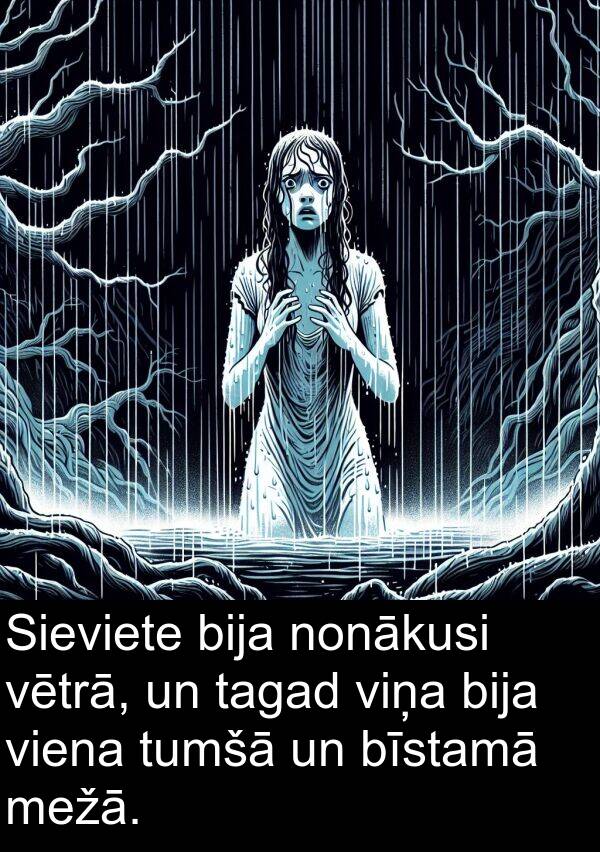 tagad: Sieviete bija nonākusi vētrā, un tagad viņa bija viena tumšā un bīstamā mežā.