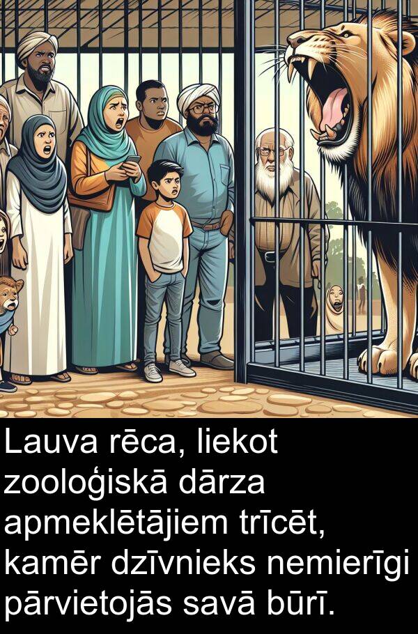 rēca: Lauva rēca, liekot zooloģiskā dārza apmeklētājiem trīcēt, kamēr dzīvnieks nemierīgi pārvietojās savā būrī.