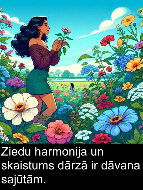 harmonija: Ziedu harmonija un skaistums dārzā ir dāvana sajūtām.