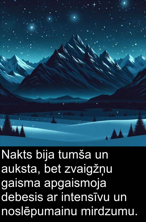 intensīvu: Nakts bija tumša un auksta, bet zvaigžņu gaisma apgaismoja debesis ar intensīvu un noslēpumainu mirdzumu.