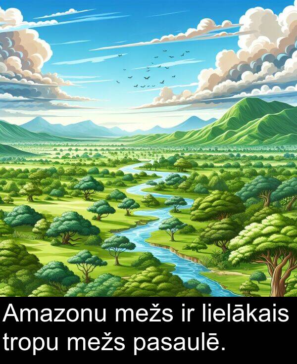 mežs: Amazonu mežs ir lielākais tropu mežs pasaulē.