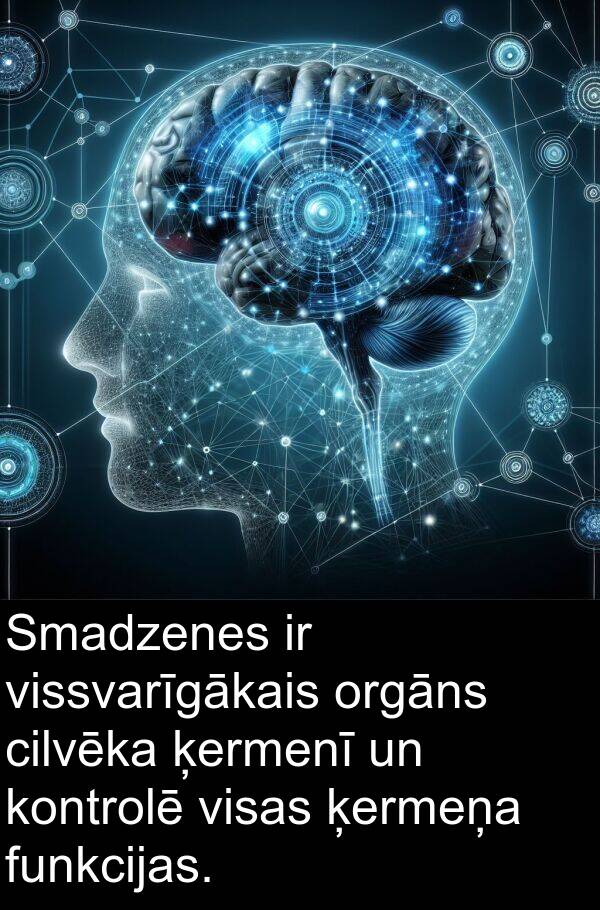 ķermeņa: Smadzenes ir vissvarīgākais orgāns cilvēka ķermenī un kontrolē visas ķermeņa funkcijas.