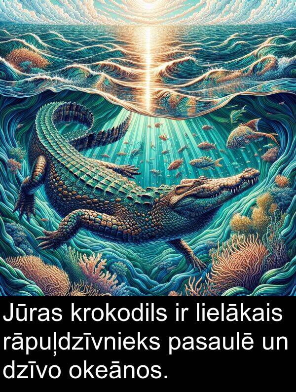 okeānos: Jūras krokodils ir lielākais rāpuļdzīvnieks pasaulē un dzīvo okeānos.