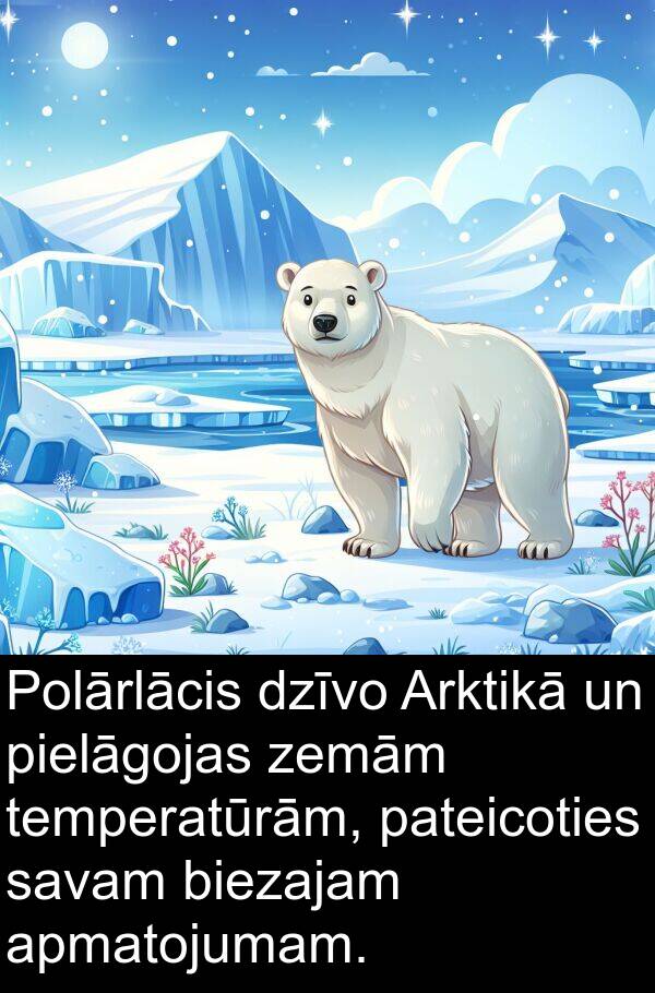 zemām: Polārlācis dzīvo Arktikā un pielāgojas zemām temperatūrām, pateicoties savam biezajam apmatojumam.