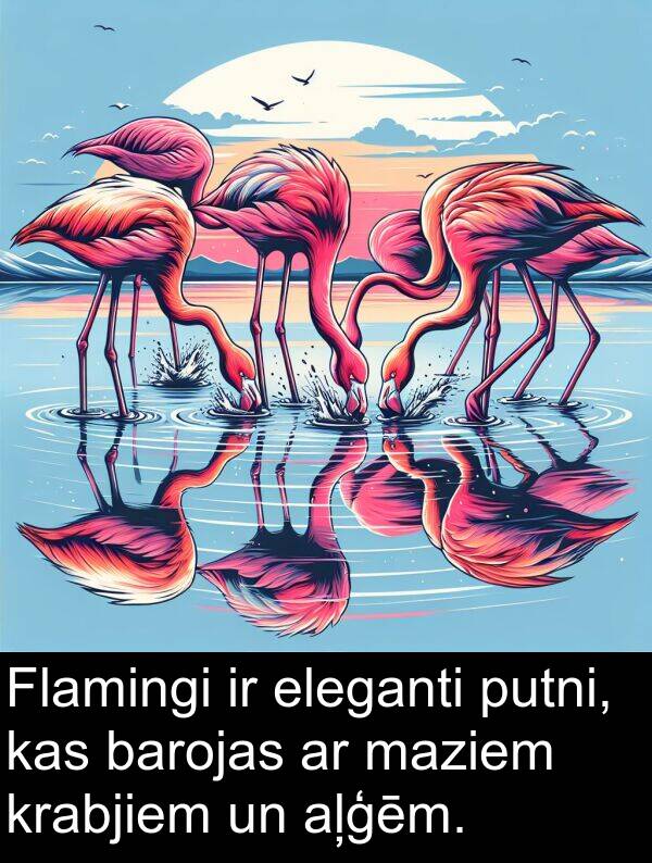 eleganti: Flamingi ir eleganti putni, kas barojas ar maziem krabjiem un aļģēm.