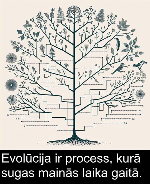 gaitā: Evolūcija ir process, kurā sugas mainās laika gaitā.