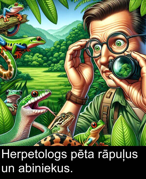 pēta: Herpetologs pēta rāpuļus un abiniekus.