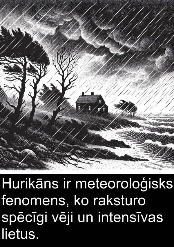 fenomens: Hurikāns ir meteoroloģisks fenomens, ko raksturo spēcīgi vēji un intensīvas lietus.