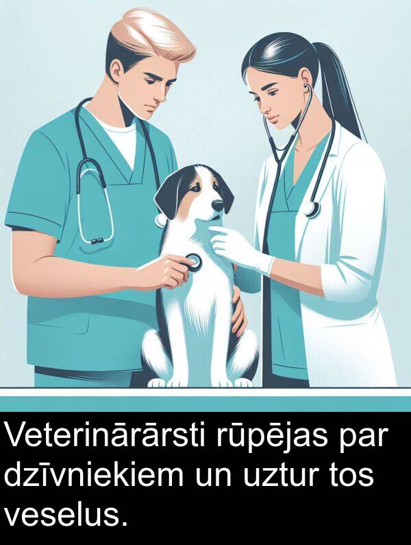 rūpējas: Veterinārārsti rūpējas par dzīvniekiem un uztur tos veselus.